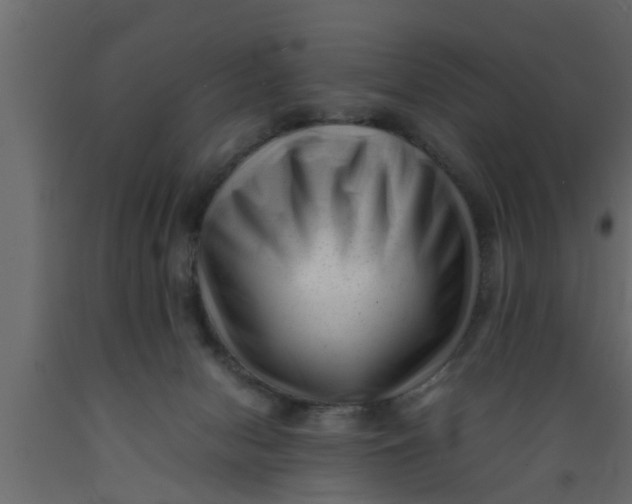 X0000089450078200707061251