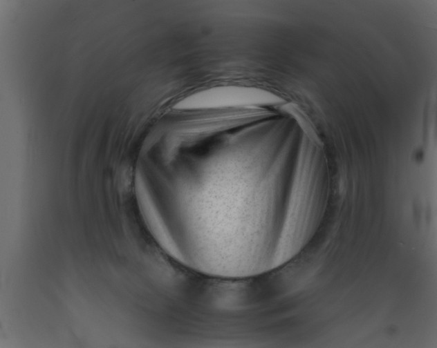 X0000089450081200707061251