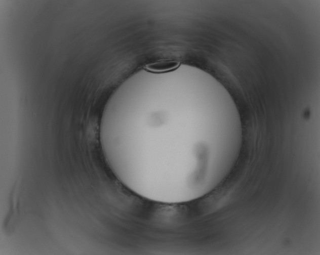 X0000089450083200707061251