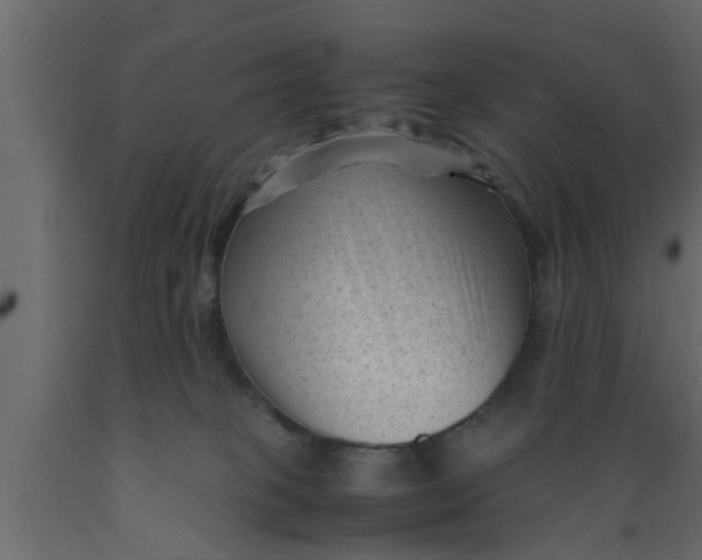 X0000089450085200707061251