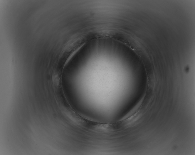 X0000089450086200707061251