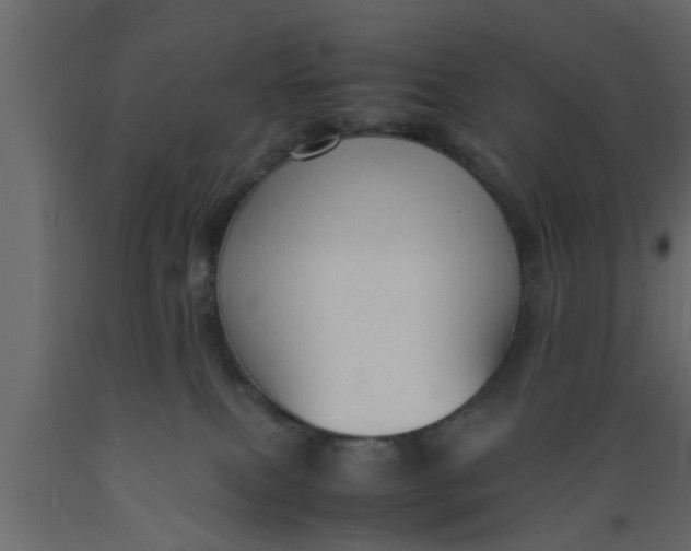 X0000089450087200707061251