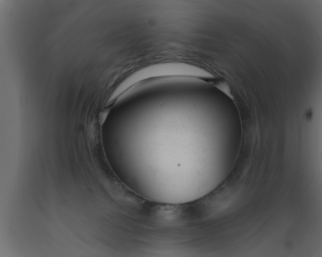 X0000089450088200707061251