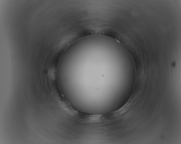 X0000089450090200707061251