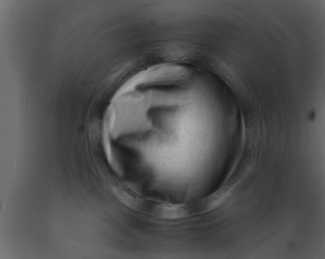 X0000089450093200707061251