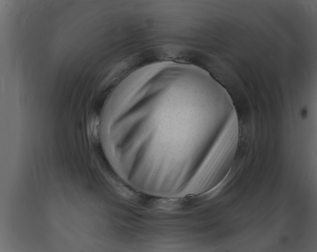 X0000089450094200707061251