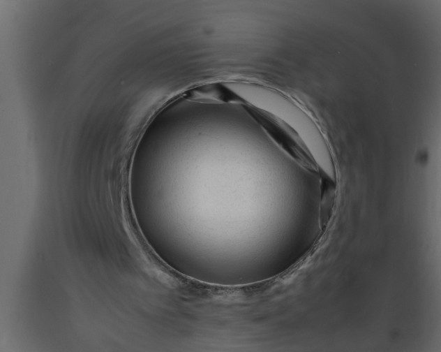 X0000089450097200707061250