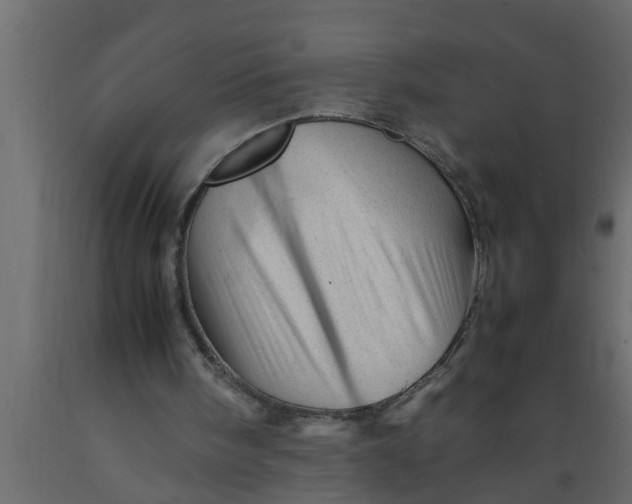 X0000089450098200707061250