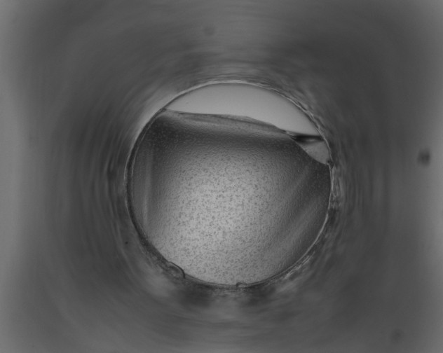 X0000089450099200707061250