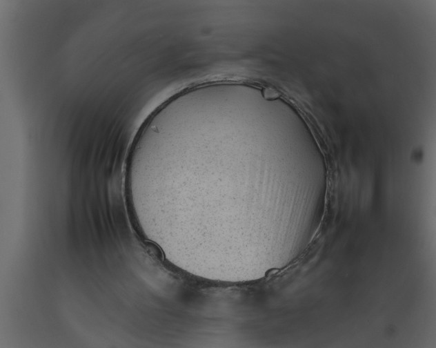 X0000089450100200707061250