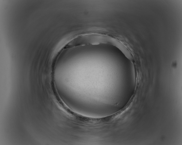 X0000089450101200707061250