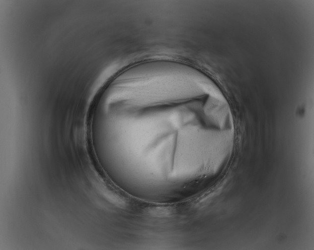 X0000089450102200707061250