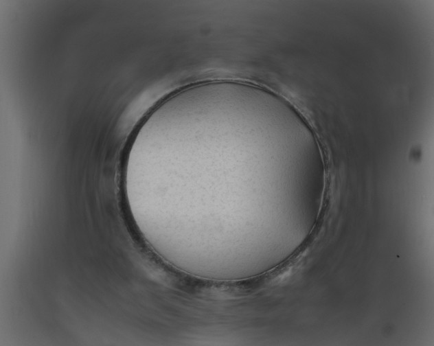 X0000089450103200707061250