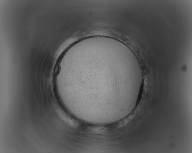 X0000089450104200707061250