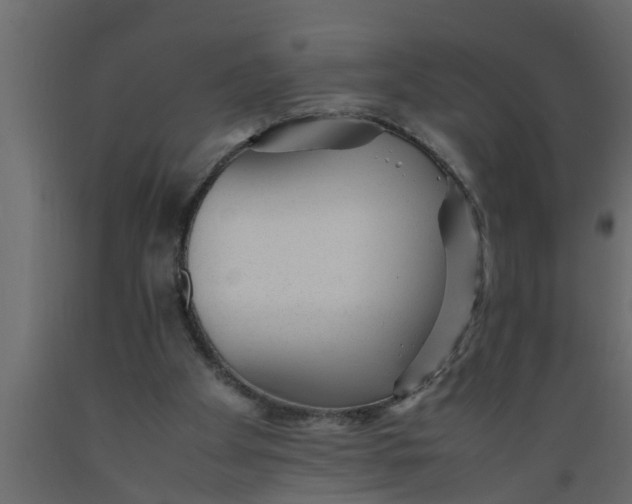 X0000089450105200707061250