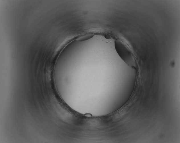 X0000089450106200707061250