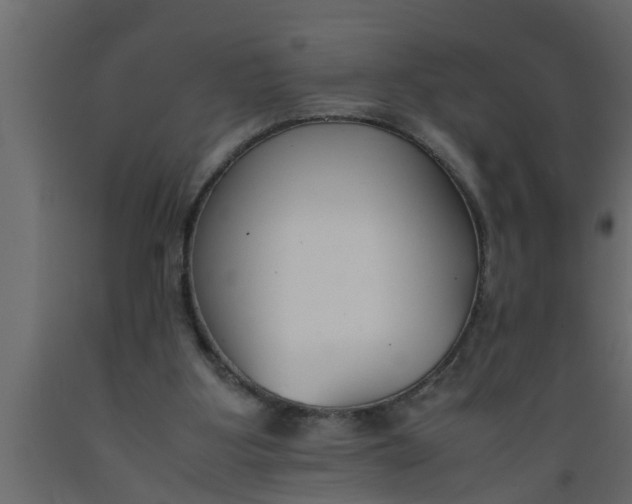 X0000089450107200707061250