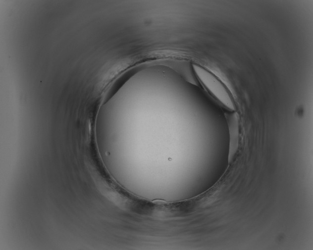 X0000089450109200707061250