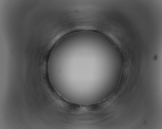 X0000089450111200707061250