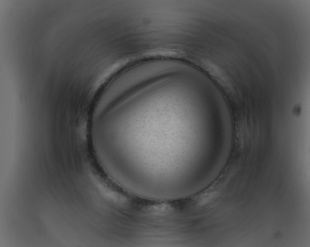 X0000089450112200707061250