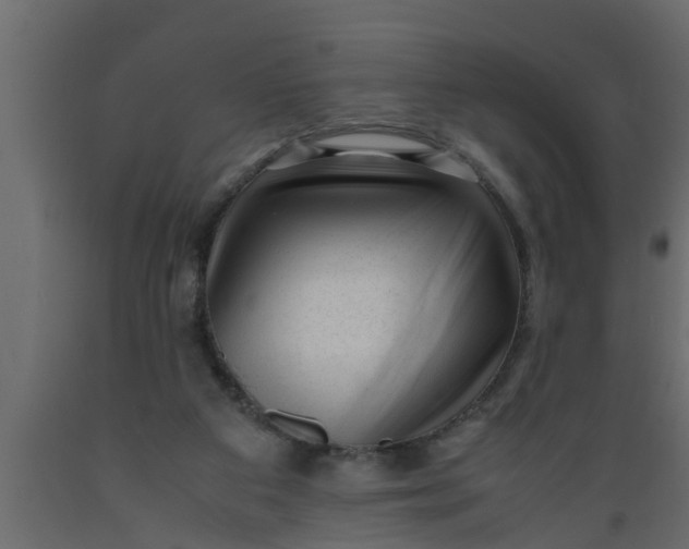 X0000089450113200707061250