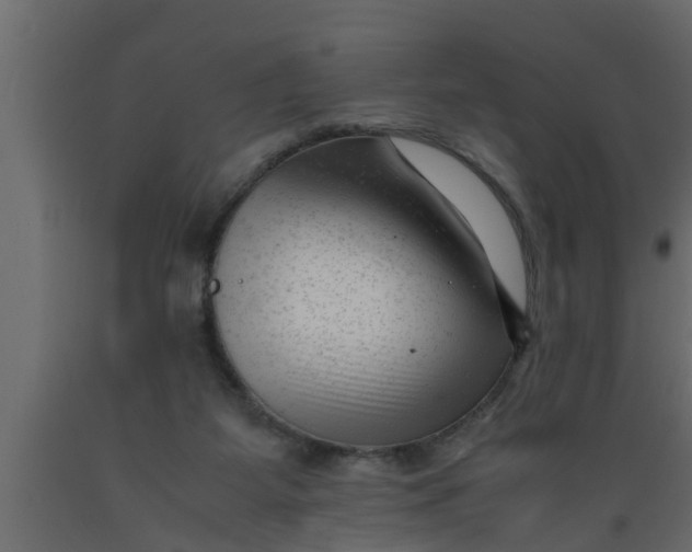 X0000089450115200707061250