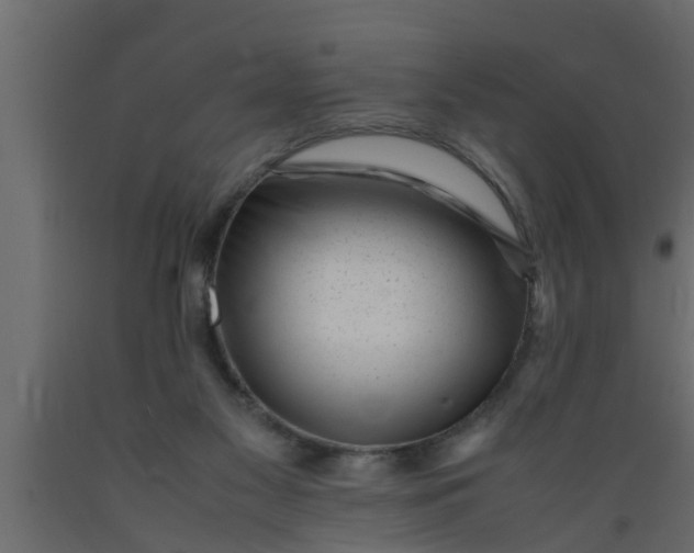 X0000089450117200707061250