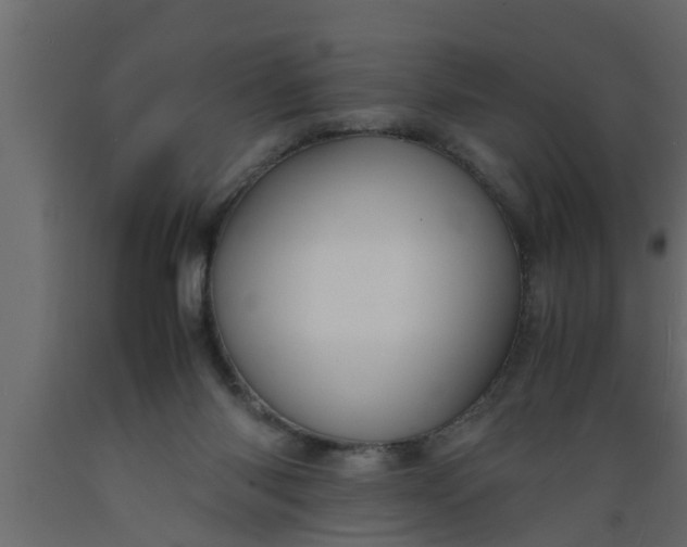 X0000089450118200707061250