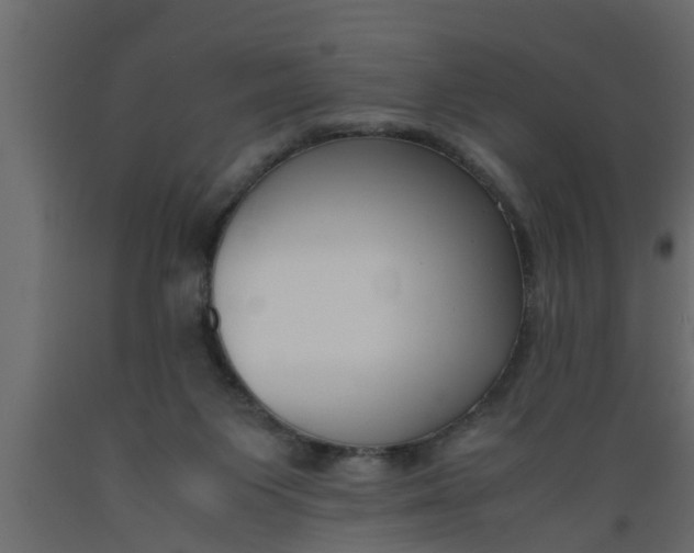 X0000089450119200707061250