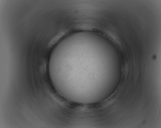 X0000089450120200707061250