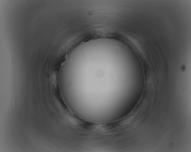 X0000089450121200707061250