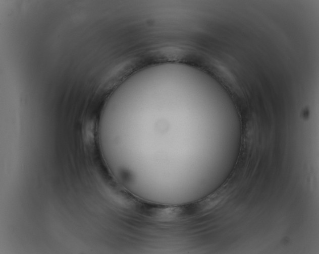 X0000089450122200707061250