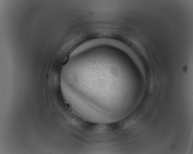 X0000089450123200707061250