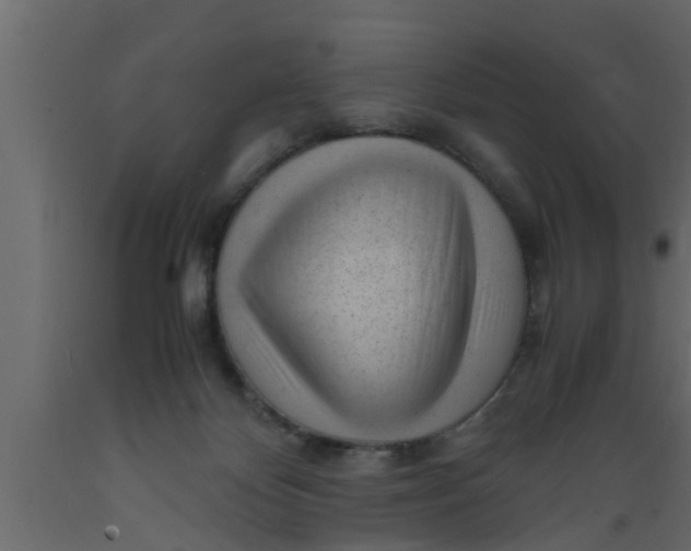 X0000089450124200707061250