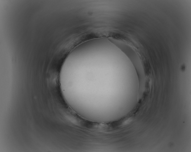 X0000089450125200707061250