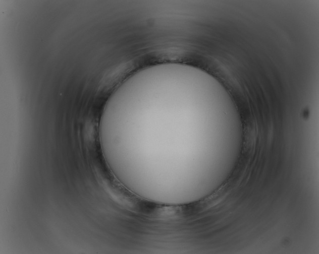 X0000089450126200707061250