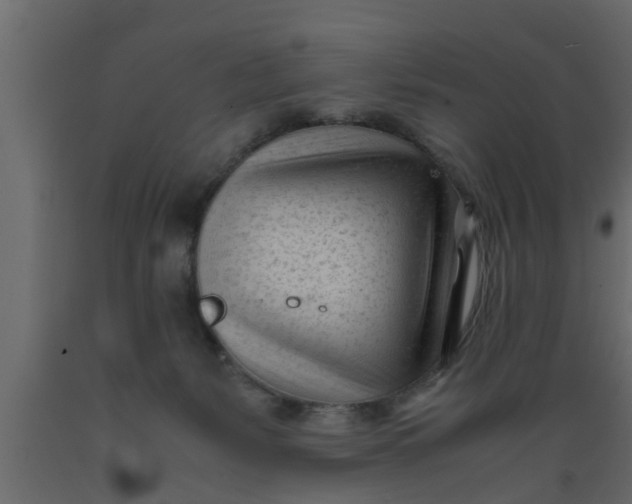 X0000089450127200707061250