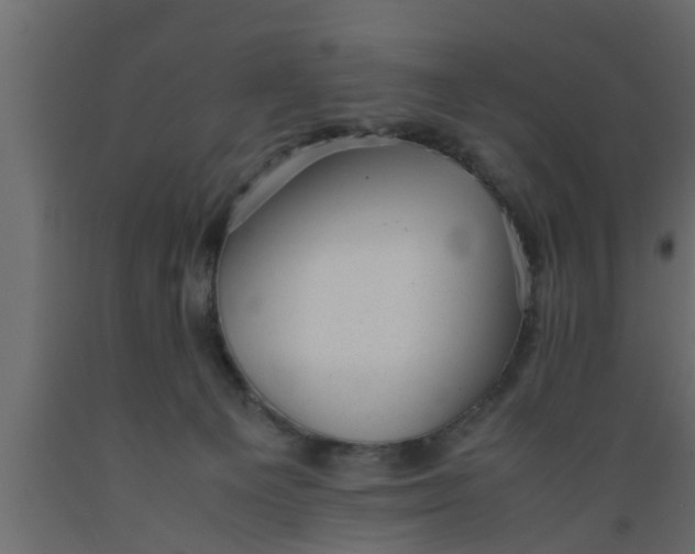 X0000089450129200707061250