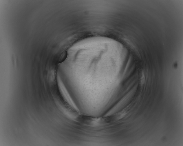 X0000089450130200707061250