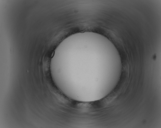 X0000089450133200707061250