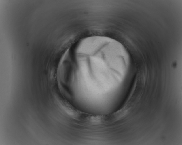 X0000089450134200707061250