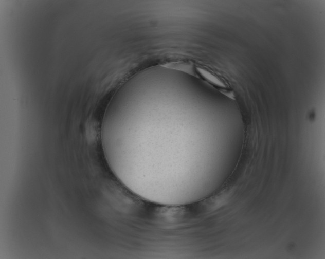 X0000089450135200707061250