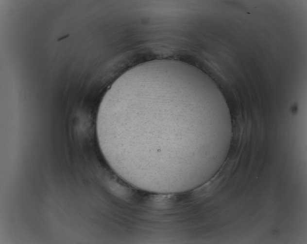 X0000089450136200707061250