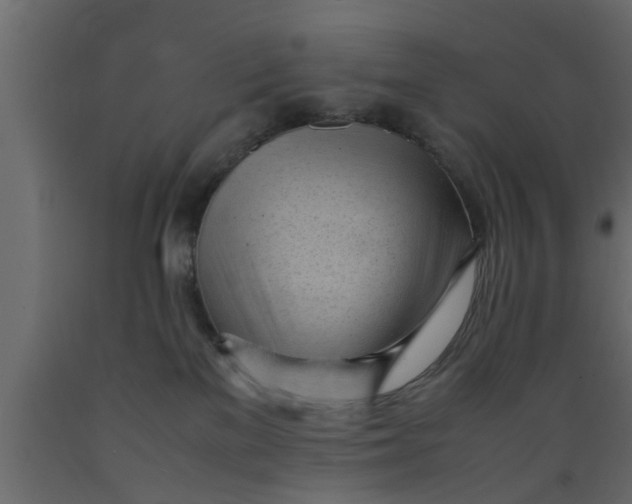 X0000089450137200707061250