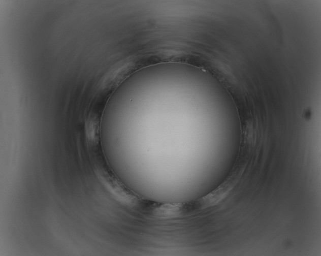 X0000089450138200707061250