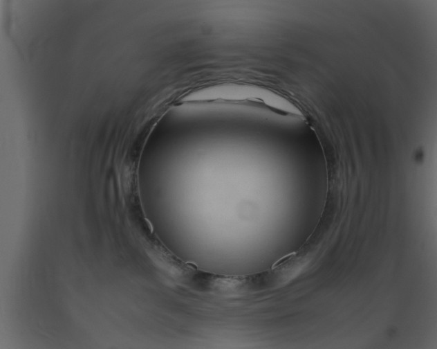 X0000089450139200707061250