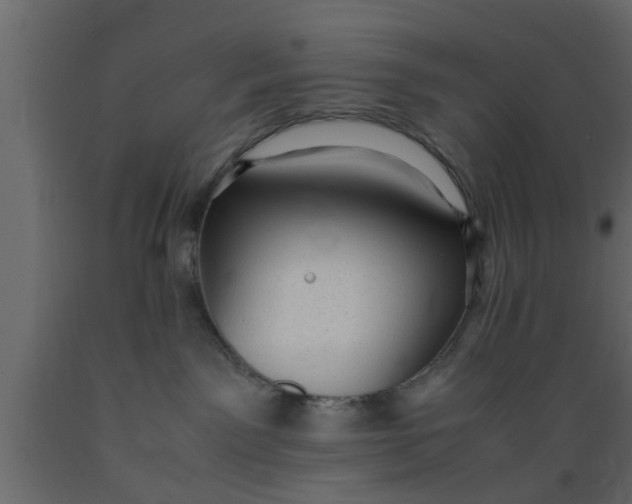 X0000089450141200707061250