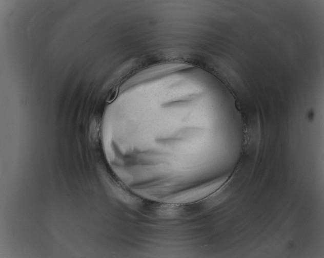 X0000089450142200707061250