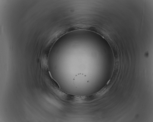 X0000089450143200707061250