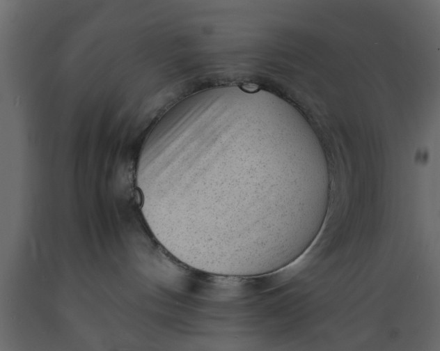 X0000089450144200707061250